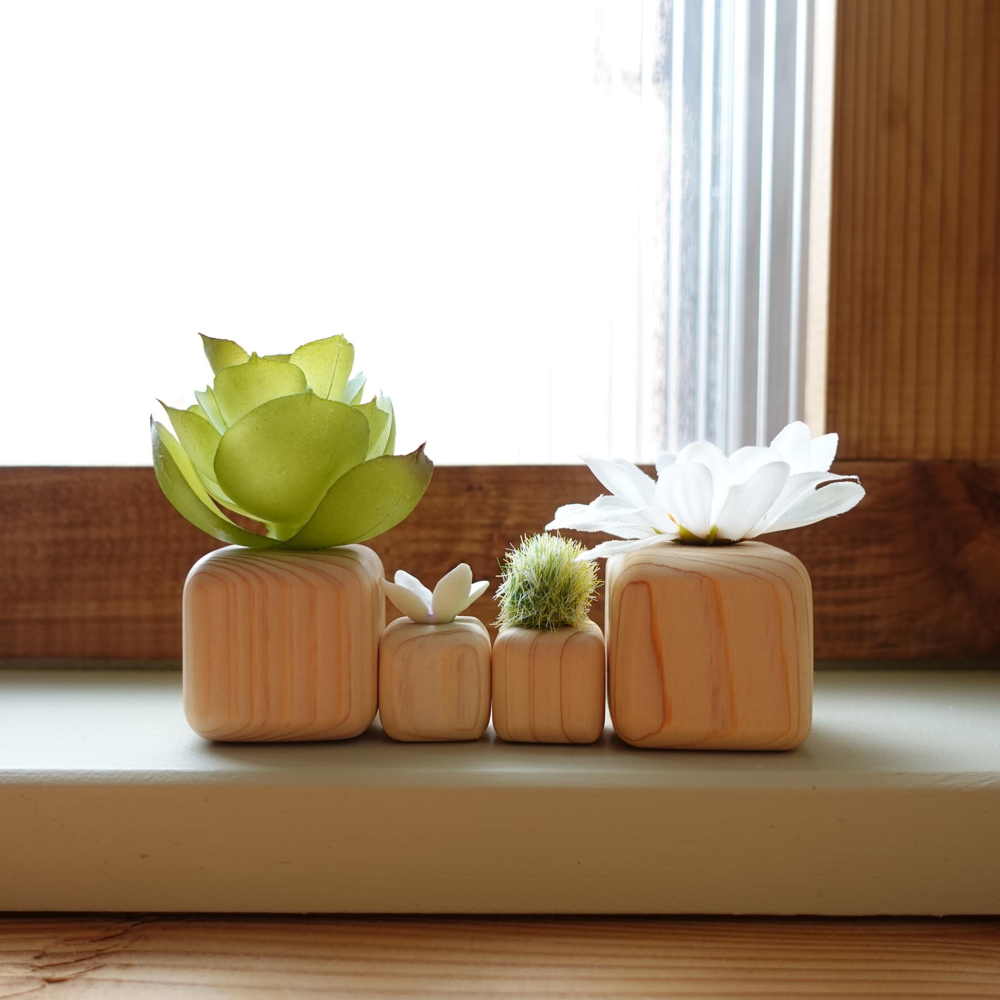 選べるちょこんとグリーン🌱4個セット | 6枚目
