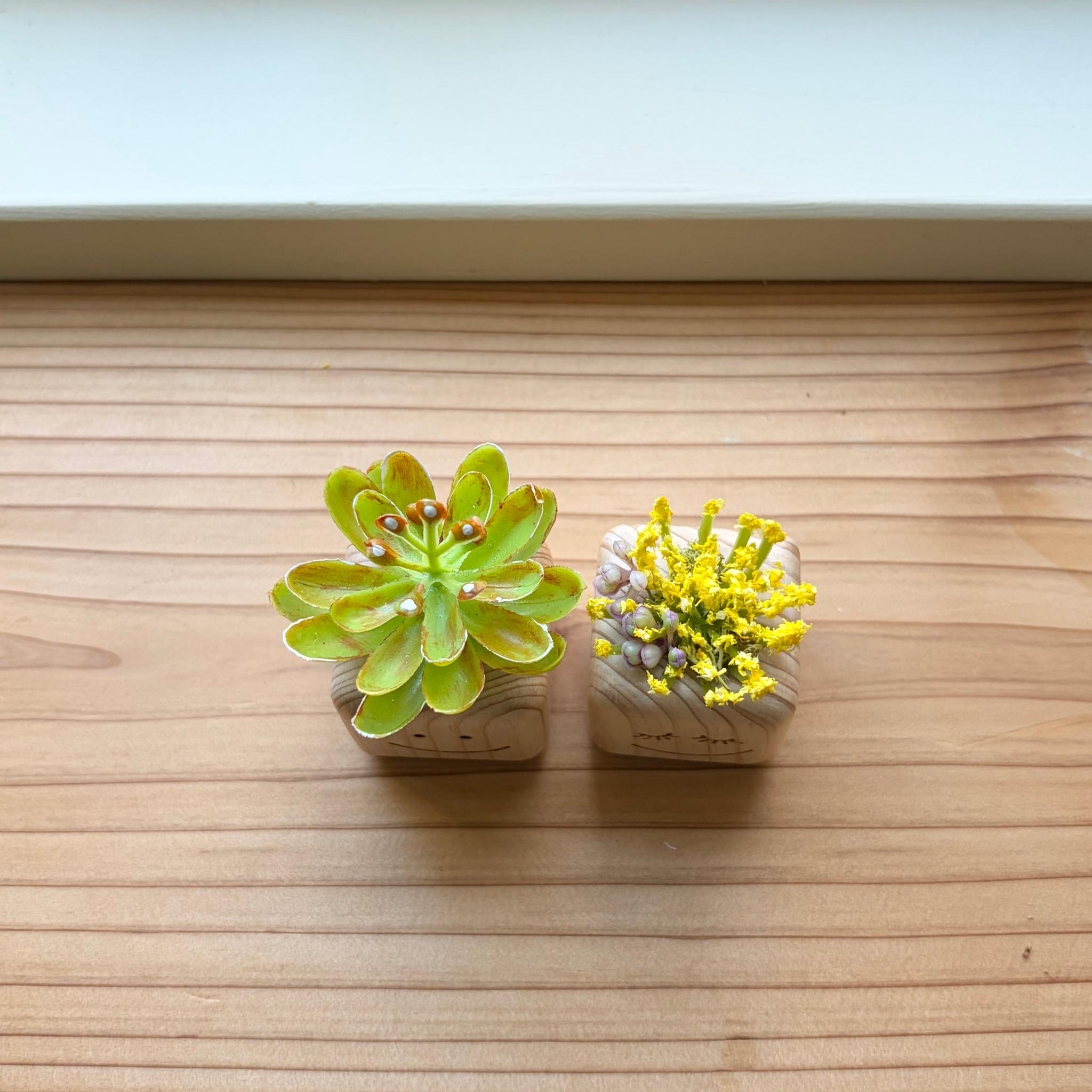 【ちょこんとグリーン】選べるペアセット（現品）⑦ | 3枚目